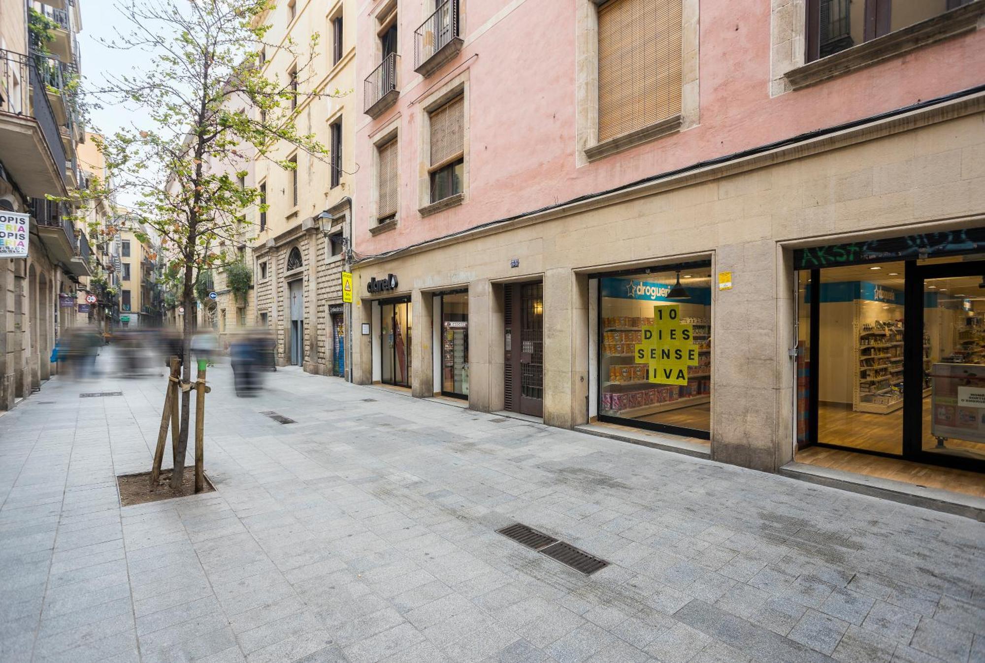 Palau De La Musica 3 Appartement Barcelone